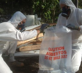 Asbestos Project