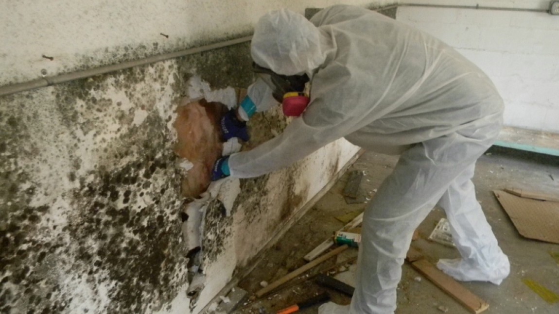 Interior Demolition of a Mold Infested Home