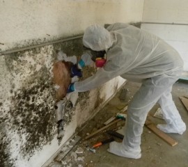 Interior Demolition of a Mold Infested Home