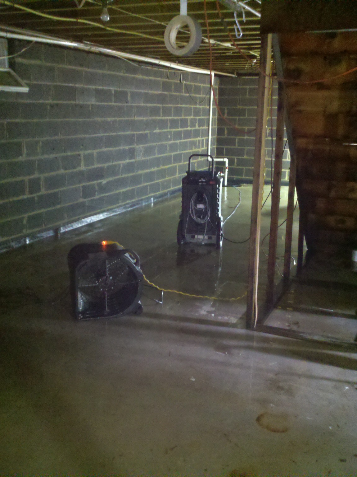 Mold Remediation