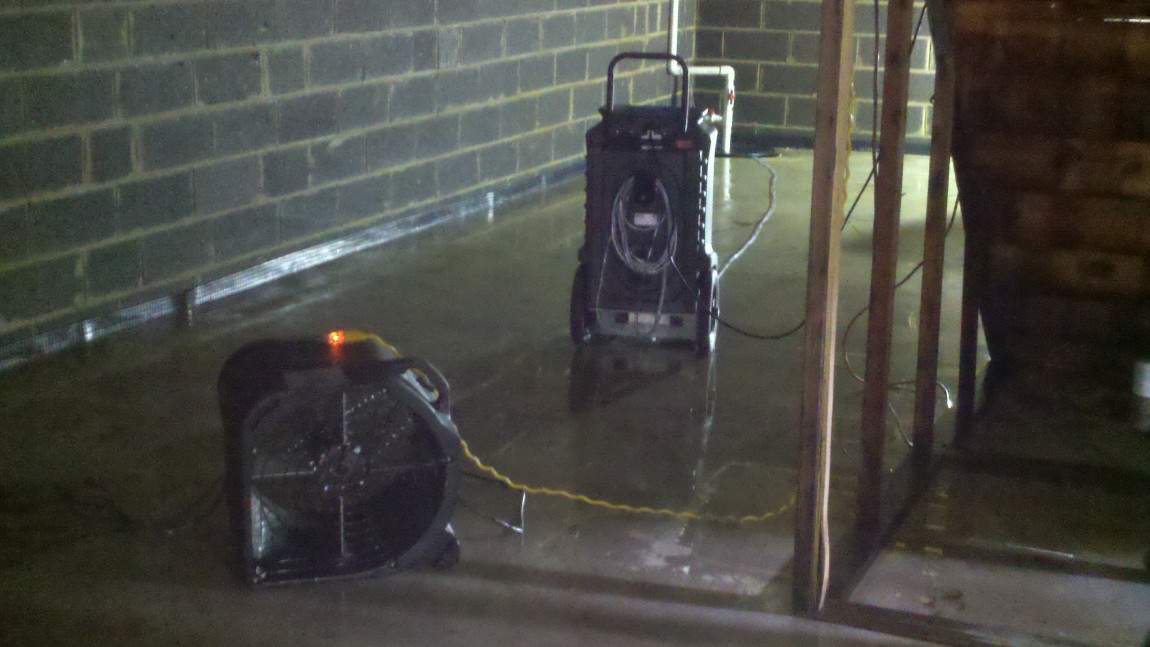 Mold Remediation