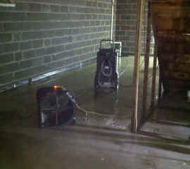 Mold Remediation