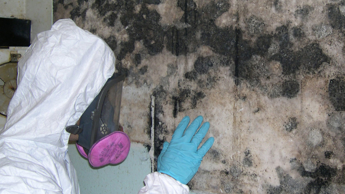 Mold Remediation